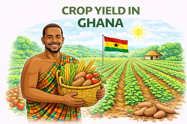Mchoro wa zana ya kilimo : Makisio ya mavuno — Ghana