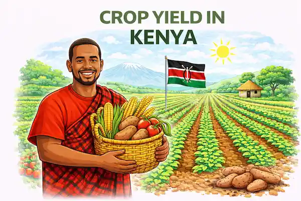 Illustration du calculateur de rendement pour Kenya