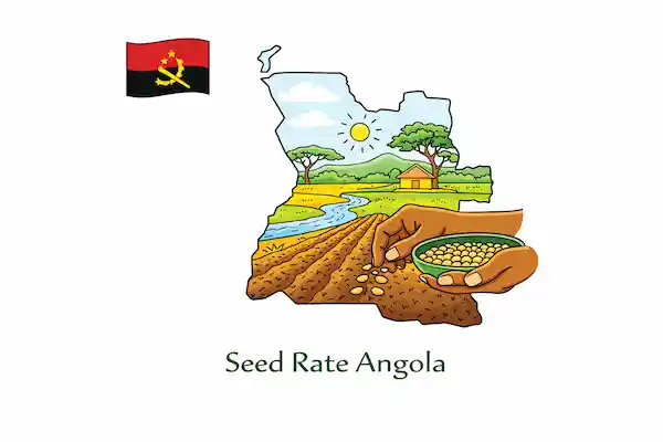 Mchoro wa zana ya kilimo : Kiwango cha mbegu — Angola